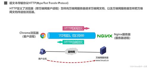 計算機網(wǎng)絡(luò)第六章應(yīng)用層學習筆記 計算機信息網(wǎng)絡(luò)設(shè)計的關(guān)鍵