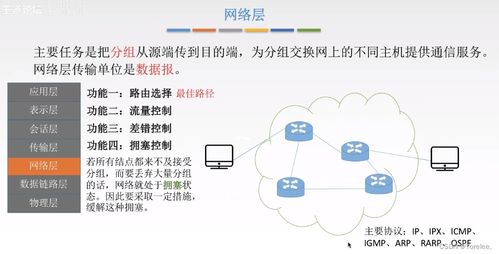 計算機網(wǎng)絡(luò)基礎(chǔ)與信息網(wǎng)絡(luò)設(shè)計